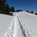 In solchen Trails macht das Schneeschuhwander natürlich Spass