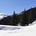 Böli - und beinahe gänzlich eingeschneite Alphütte