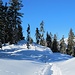 Der höchste Punkt des Wamberger Rückens ist eine unscheinbare Kuppe im winterlich verschneiten Höhenkamm.
