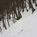 Nach dem Abstieg entlang der Zahnradbahn bis Bellavista erlebte ich eine Überraschung, denn auf dem weiteren Weg über die steilen bewaldeten Nordwesthänge lag eine beträchtliche Schneeauflage und der Bergweg war noch unverspurt. Schneeschuhe hatte ich zwar, doch war es dank trittfestem Schnee gemütlicher ohne sie über die stark geneigten Berghänge zur Alpe di Melano abzusteigen.