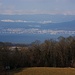 Aussicht von westlichen Ende auf dem Mont Vully Gipfelplateau auf Neuchâtel (463m) und den Lac de Nauchâtel (429m).