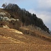 Die steilen Südhänge des Mont Vully eignen sich bestens für Weinanbau.