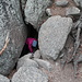 Enchanted Rock - Im Bereich der Enchanted Rock Cave (Höhle). Die einfachere "Alternativ-Route" für den Abstieg unter den riesigen Felsblock zur auf den beiden vorhergehenden Bildern gezeigten "Variante mit Pfeil". Wir haben das erst bemerkt, als wir - vom Pfeil geleitet - schon "unten" waren und sind dann so ausgestiegen.