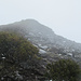 Pico Ruivo Gipfel im Nebel