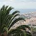 Blick vom Jardim Botânico auf Funchal