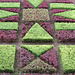 grün-rote Geometrie im Kräutergarten