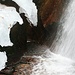 Piranhas schnappen nach dem Wasserfall