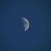Der obligatorische Mond, fast schon wieder halb voll. Wie die Zeit vergeht!<br />Heute aber noch am blauen Himmel bei Sonne.<br />Aufnahmedatum 29.02.2012 17.20 Uhr<br />F 5,8/1/250sec/ISO 80/-1,7/150mm/35-fach Zoom 