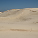 Monahans Sandhills - "Abfahrt" von einer Düne mit „sand disk“.