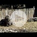 Jedes Jahr im Februar (dieses Jahr sogar schon im Januar) wenn im Wildpark Landsberg die Wildschweinbabys geboren werden, kann man stundenlang am Gehege stehen und ihrem hektischen, aber lustigen Treiben mit ihrer Mutter und ihren Geschwistern zuschauen.<br />Aufgenommen mit der Canon Powershot SX 30 IS Superzoom am 01.03.2012
