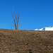 Keck, das Bietschhorn...und die Gipfel rechts hat Eugen benannt...