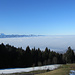 klarer Blick in die Schweizer Berge aber  über dem Bodensee hängt eine dicke Nebelschicht