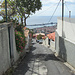 eine steile Straße führt hinunter in die Altstadt von Funchal