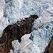 Gletscher Piedras Blancas