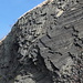 Radobýl Westflanke - Blick auf freiliegende Strukturen des Basaltgesteins vom oberen Plateau des ehemaligen Steinbruchs aus.