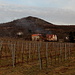Unterwegs vom Žernosecké jezero nach Michalovice - Blick im letzten Tageslicht über Weinfelder und die Häuser am nordwestlichen Ortsrand von Žalhostice zum Radobýl.