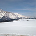 Die weite Schneelandschaft der Alp Flix hat immer wieder ihren Reiz und lockte an diesem schönen Tag auch recht viele Wanderer dorthin