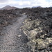 Nur dank dieses Weges kann man zum bestiegenen Vulkan gelangen. Die Lava-Wüste ist unpassierbar. <br />Zuerst besiedeln Flechten das Gebiet (vorne rechts hat es auf den Lava-Steinen bereits eine vielfältige Flechtengesellschaft).