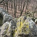 "Tiefblick" vom Spitzestein