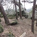 Auf dem Spitzestein