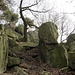 Auf dem Spitzestein