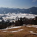 Schöner Südhang, im Hintergrund die Ammergauer Alpen