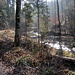Vorderbach