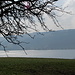Baldegger See