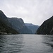Blick zurück in den Milford Sound. Das Salzwasser wird im Fjord von einer 3-4 m dicken Süßwasserschicht überlagert.