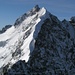 Piz Bernina und Biancograt vom Gipfel des Piz Morteratsch <br />