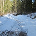...auf dem Winterwanderweg