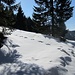 Auf etwa 1050m werden die Schneeschuhe angelegt