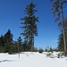 Gipfelfoto Farnberg ( 1218m )