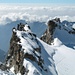 Gipfelgrat vom Gran Paradiso