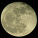 Der Mond am Vorabend, dem 09.03.2012 um 21.17 Uhr, ein Tag nach Vollmond