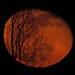 Der aufgehende Mond am 10.03.2012 um 21.40 Uhr, sieht aus wie eine Orange.