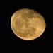 Der Mond am 10.03.2012 um 22 Uhr, 2 Tage nach Vollmond und kurz nach Mondaufgang, deshalb noch so rot-gelb.