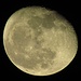 Der Mond am 10.03.2012 um 22.49 Uhr. Mit zunehmender Höhe erscheint er immer weißer und kontrastreicher.