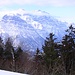 Glärnischmassiv - durch die Tannen sieht man den Klöntalersee