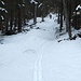 Abzweiger ins Sitterbachstal: sehr magere Schneelage
