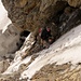 Im Abstieg vom Clariden auf den Claridenfirn - es empfiehlt sich hier mit Eisschrauben zu sichern (Foto von [u Schlumpf])