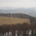 verhangener Ausblick über die Lichtung bei P. 943 gegen Norden