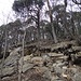 brüchig, der oberste Aufbau des Wisenberges