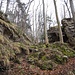 stimmungsvolle Wanderweg-Führung