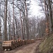 ein rechter Holz-Vorrat