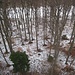 die Nordflanke des Wisenberges - auch hier nur wenig Nadelgehölz