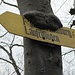 die Natur am Werk 1
