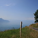 Blick zum Genfer See bei Sonchaux