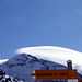 Paline all' Alpe Vignone