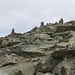 Kurz vor dem Gipfel des Munt Pers weisen - nebst Markierungen - Steinmännchen den Weg.